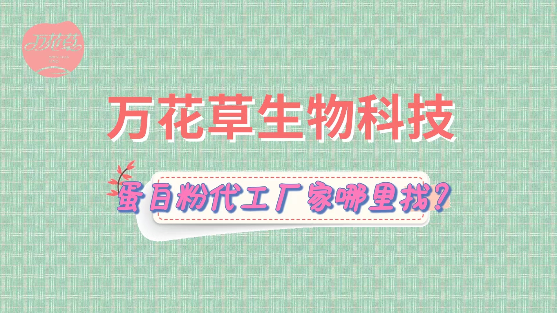 蛋白粉代加工，怎么找專業(yè)源頭廠家？